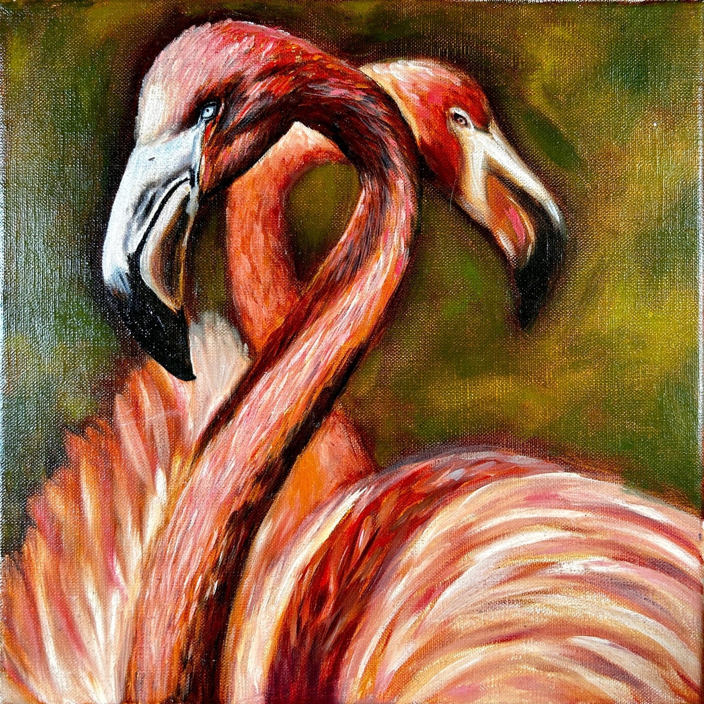 Flamingos