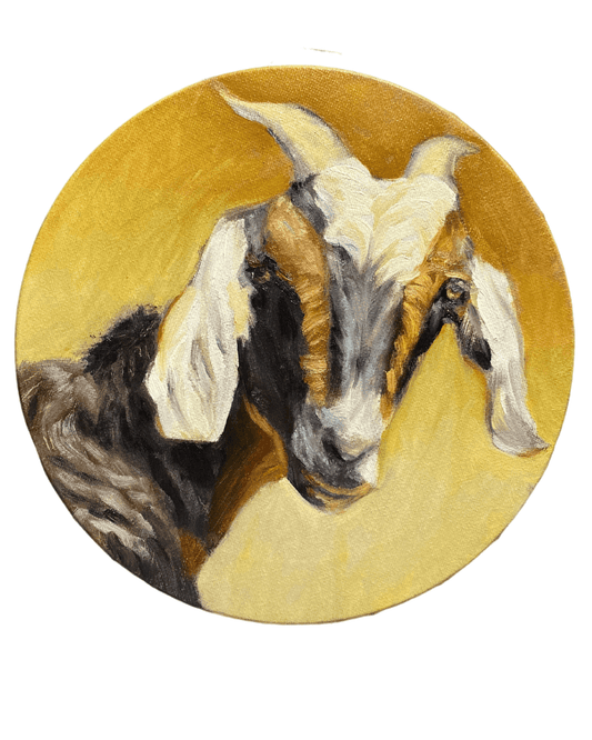 Farm Goat Oil Painting