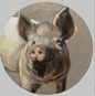 Farm Pig Oil Painting