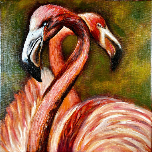 Flamingos