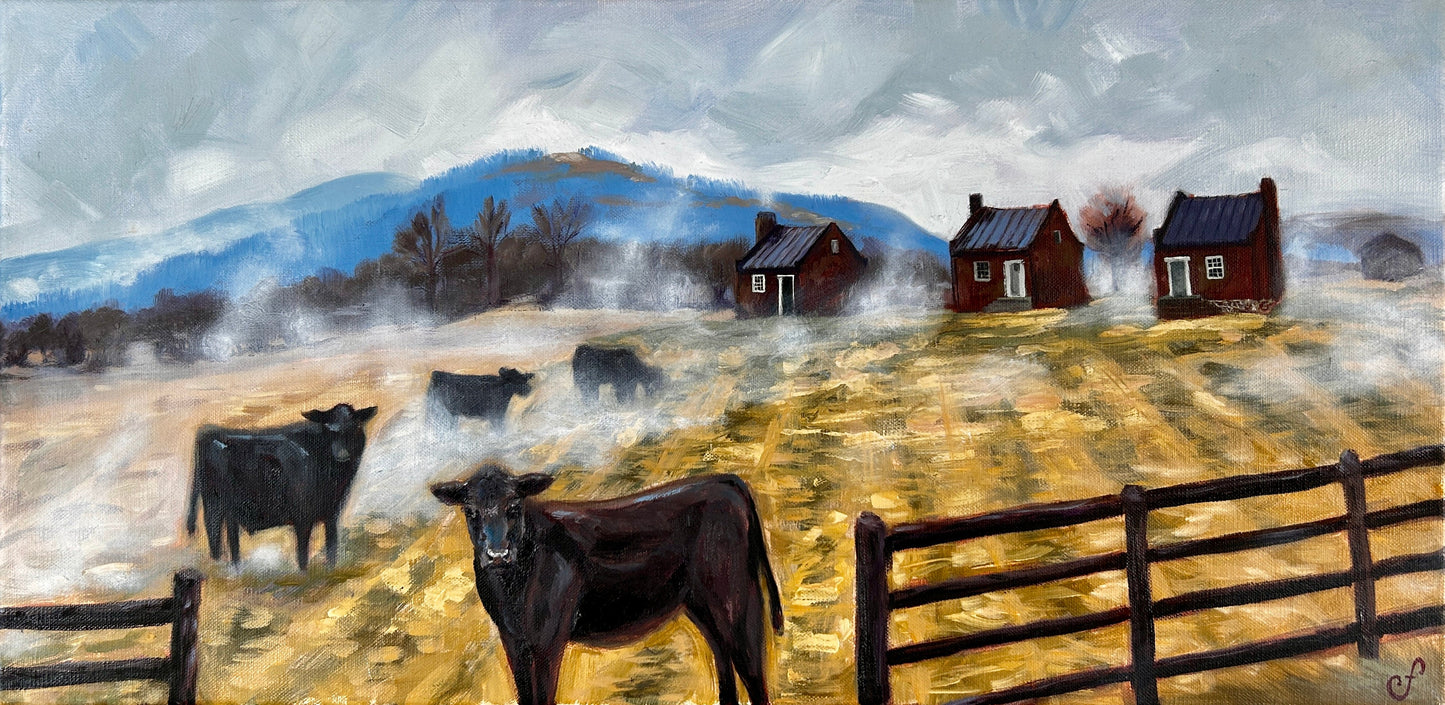 Misty Ben Venue Original Oil Painting cows rappahannock county landscape painting mountains